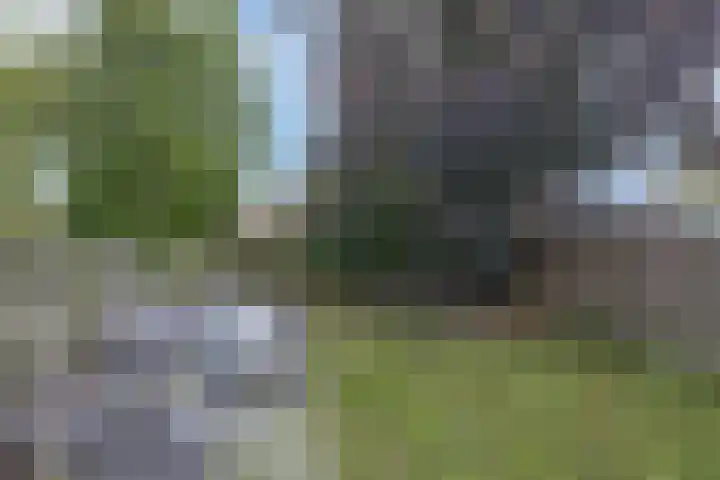 Bocht Oosterdiep 8 Veendam thumbnail 37