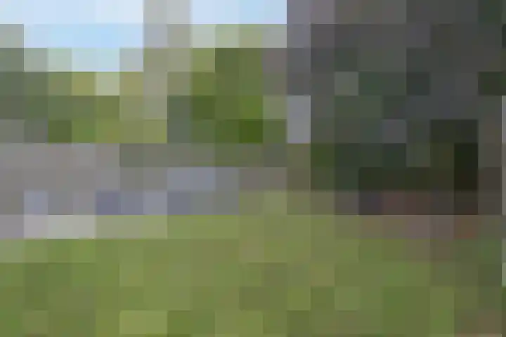 Bocht Oosterdiep 8 Veendam thumbnail 38
