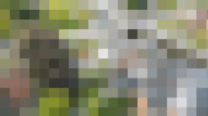 Bocht Oosterdiep 8 Veendam thumbnail 43