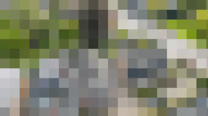 Bocht Oosterdiep 8 Veendam thumbnail 44