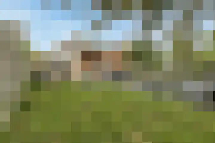 Bocht Oosterdiep 8 Veendam thumbnail 5
