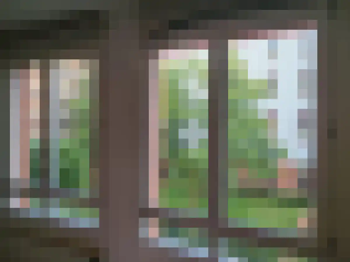 Bocht van Guinea 11 Den Haag thumbnail 5
