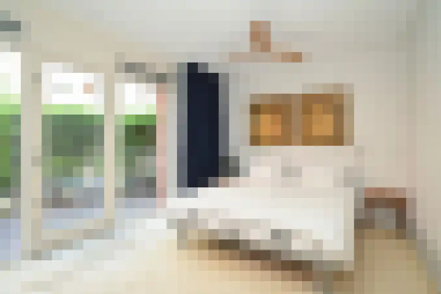 Bocht van Guinea 21 Den Haag thumbnail 13
