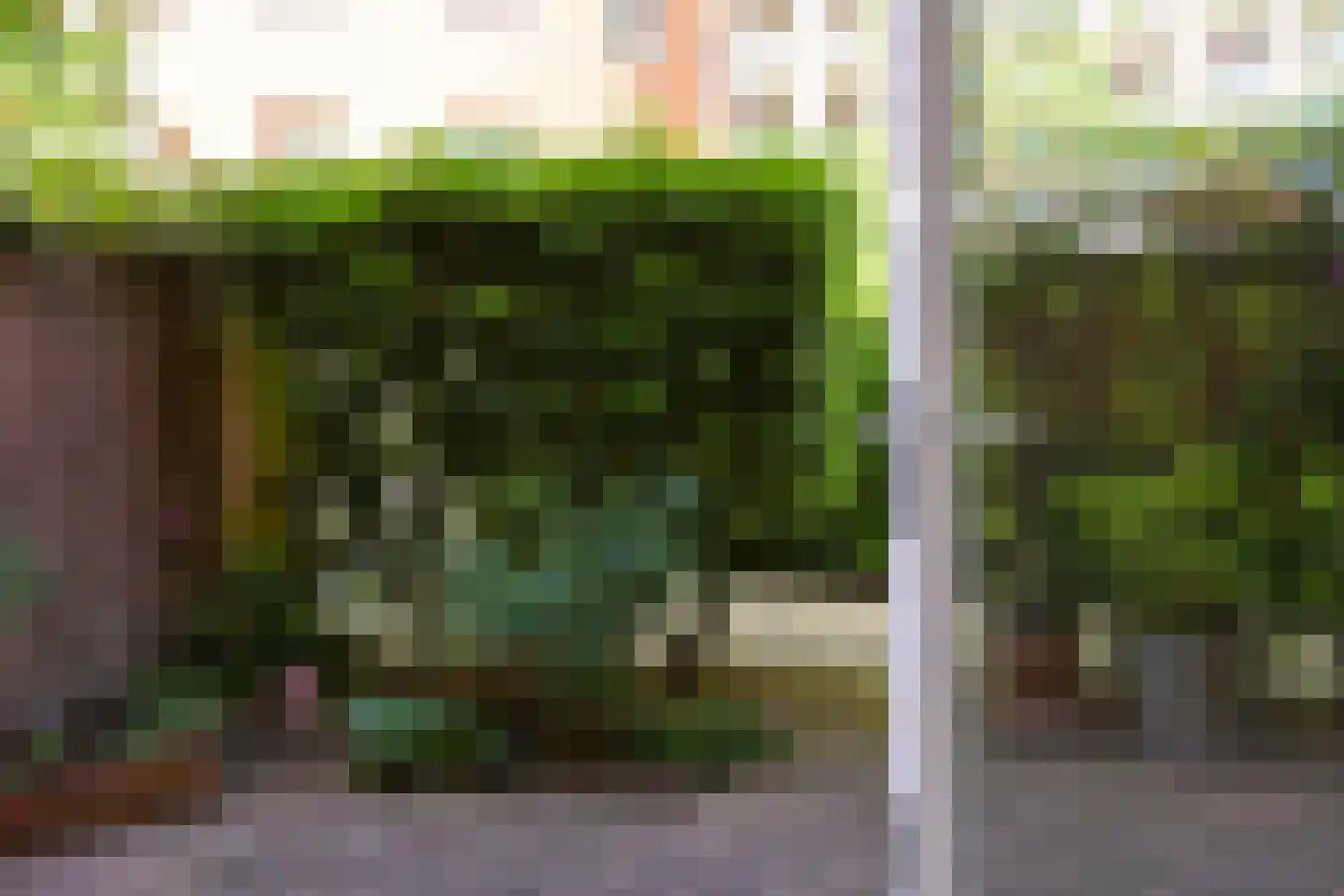Bocht van Guinea 21 Den Haag thumbnail 15