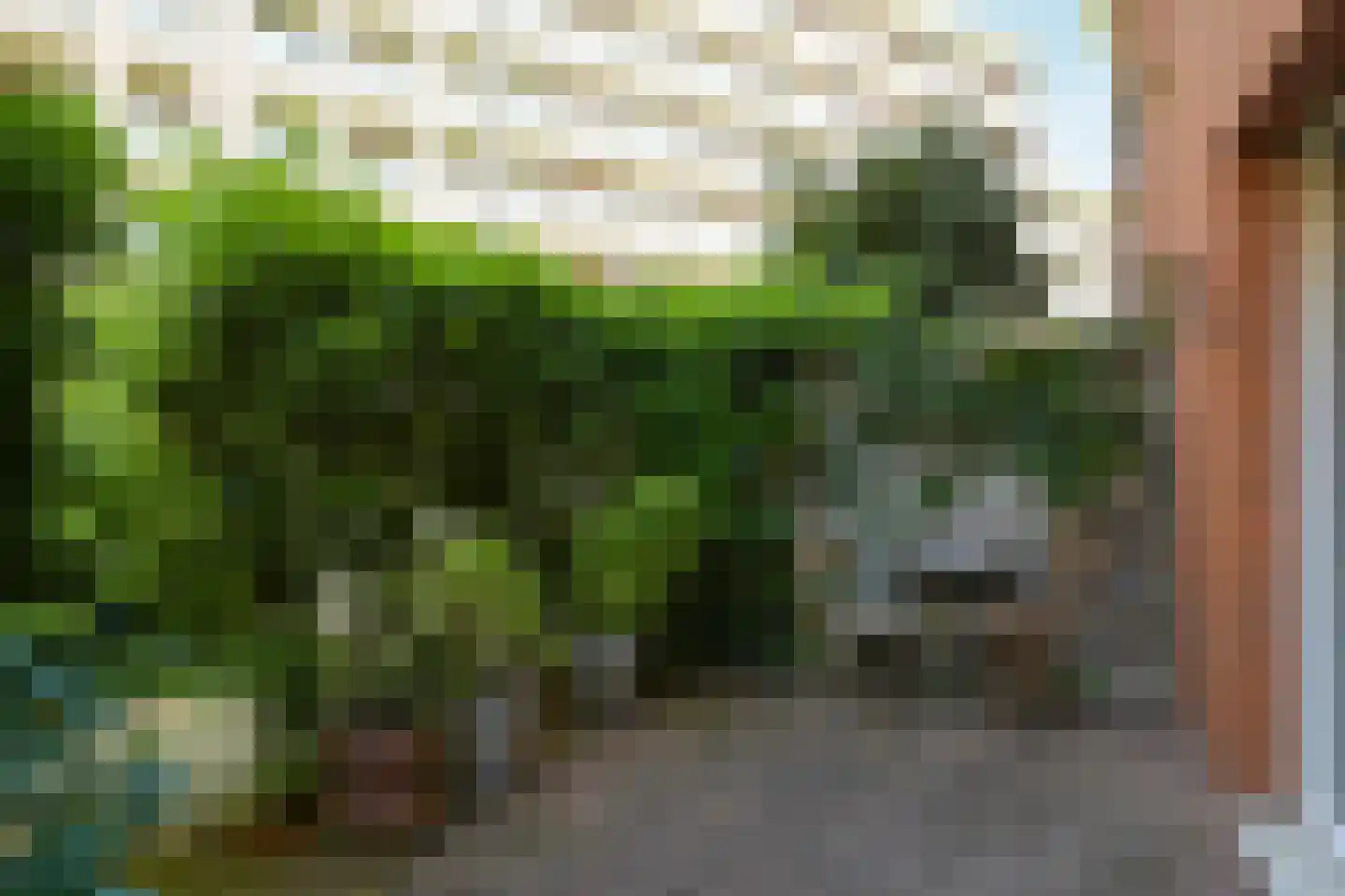 Bocht van Guinea 21 Den Haag thumbnail 16
