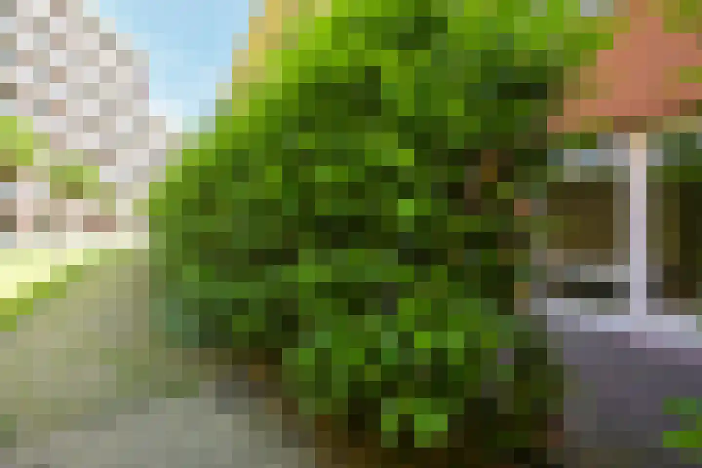 Bocht van Guinea 21 Den Haag thumbnail 19