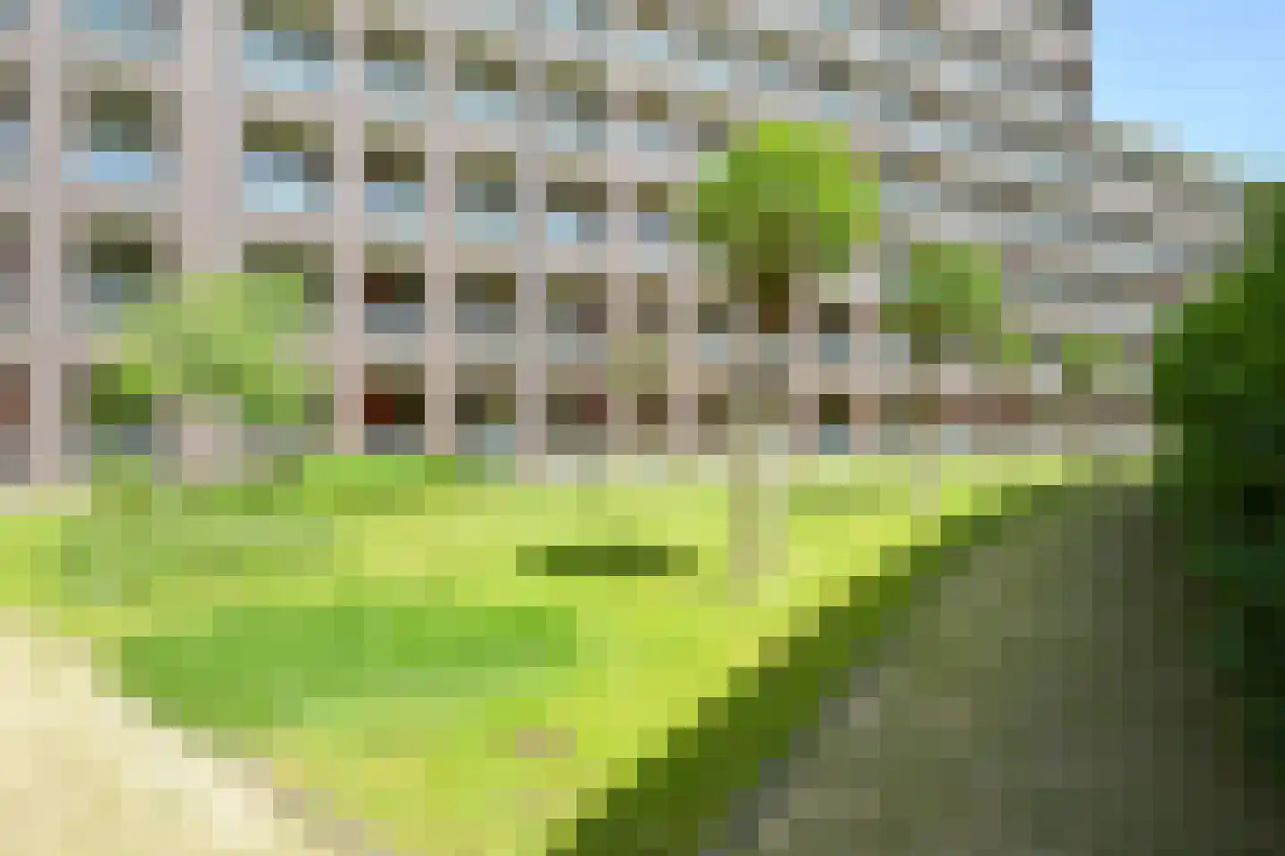 Bocht van Guinea 21 Den Haag thumbnail 20