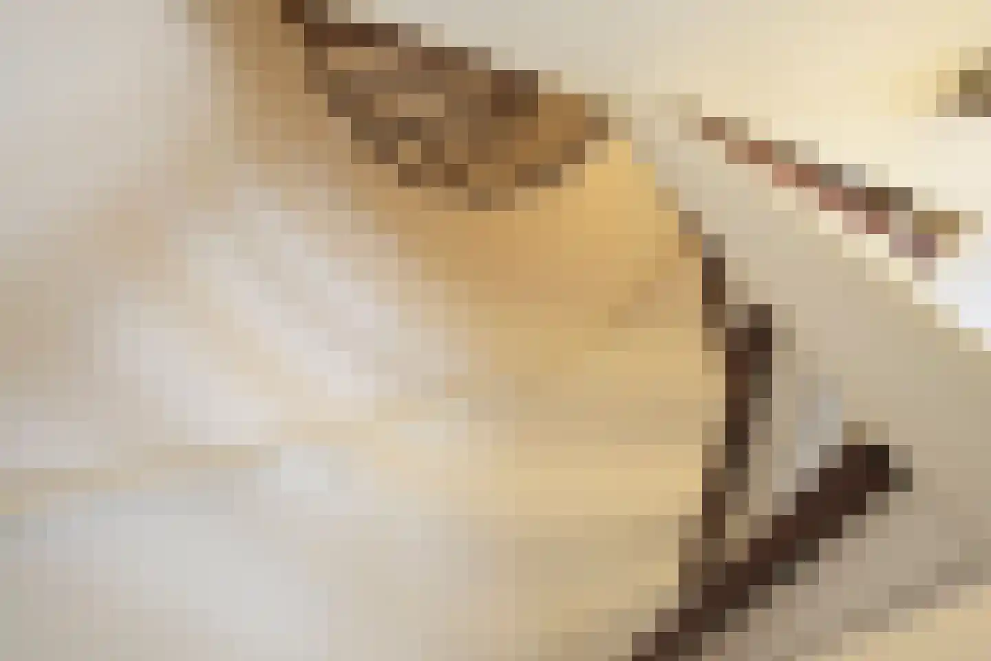 Bocht van Guinea 21 Den Haag thumbnail 21