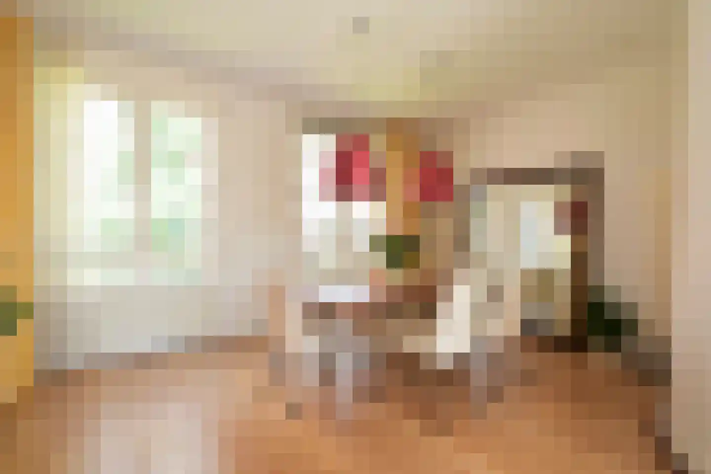 Bocht van Guinea 21 Den Haag thumbnail 23