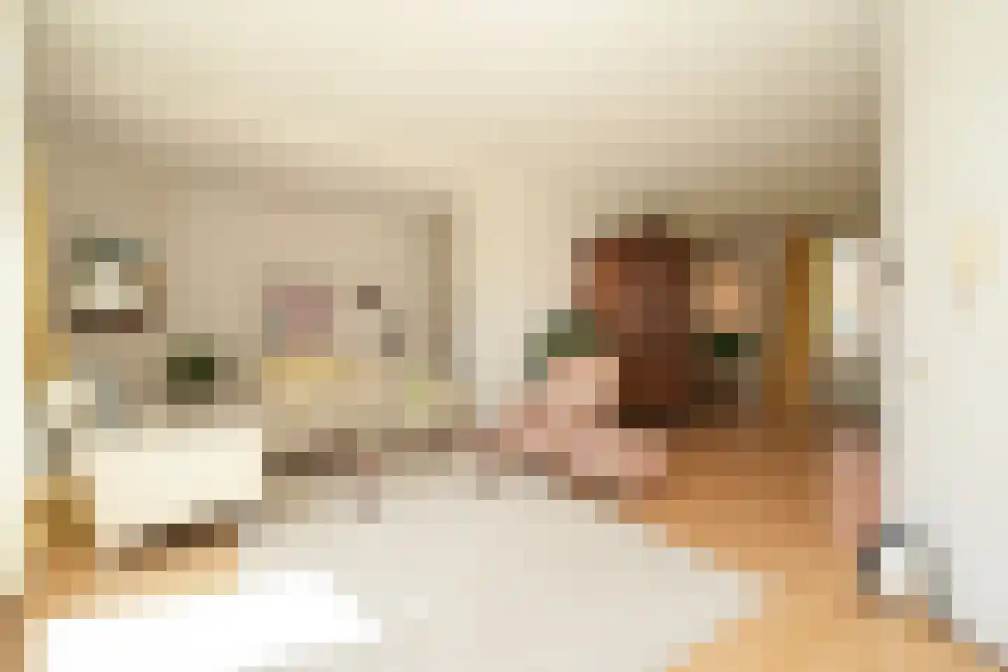 Bocht van Guinea 21 Den Haag thumbnail 30