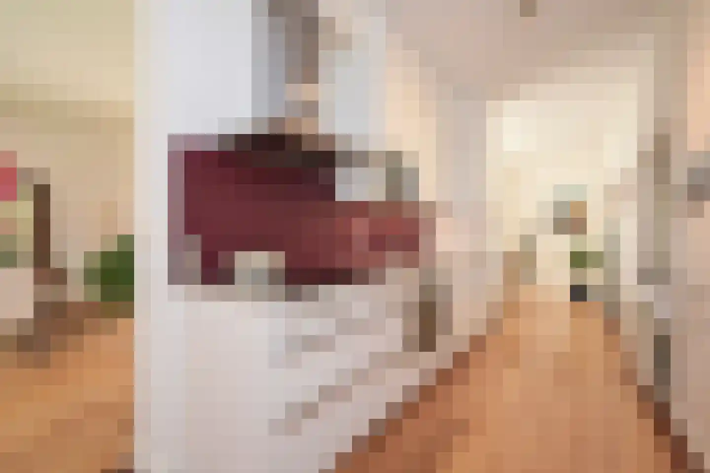 Bocht van Guinea 21 Den Haag thumbnail 4