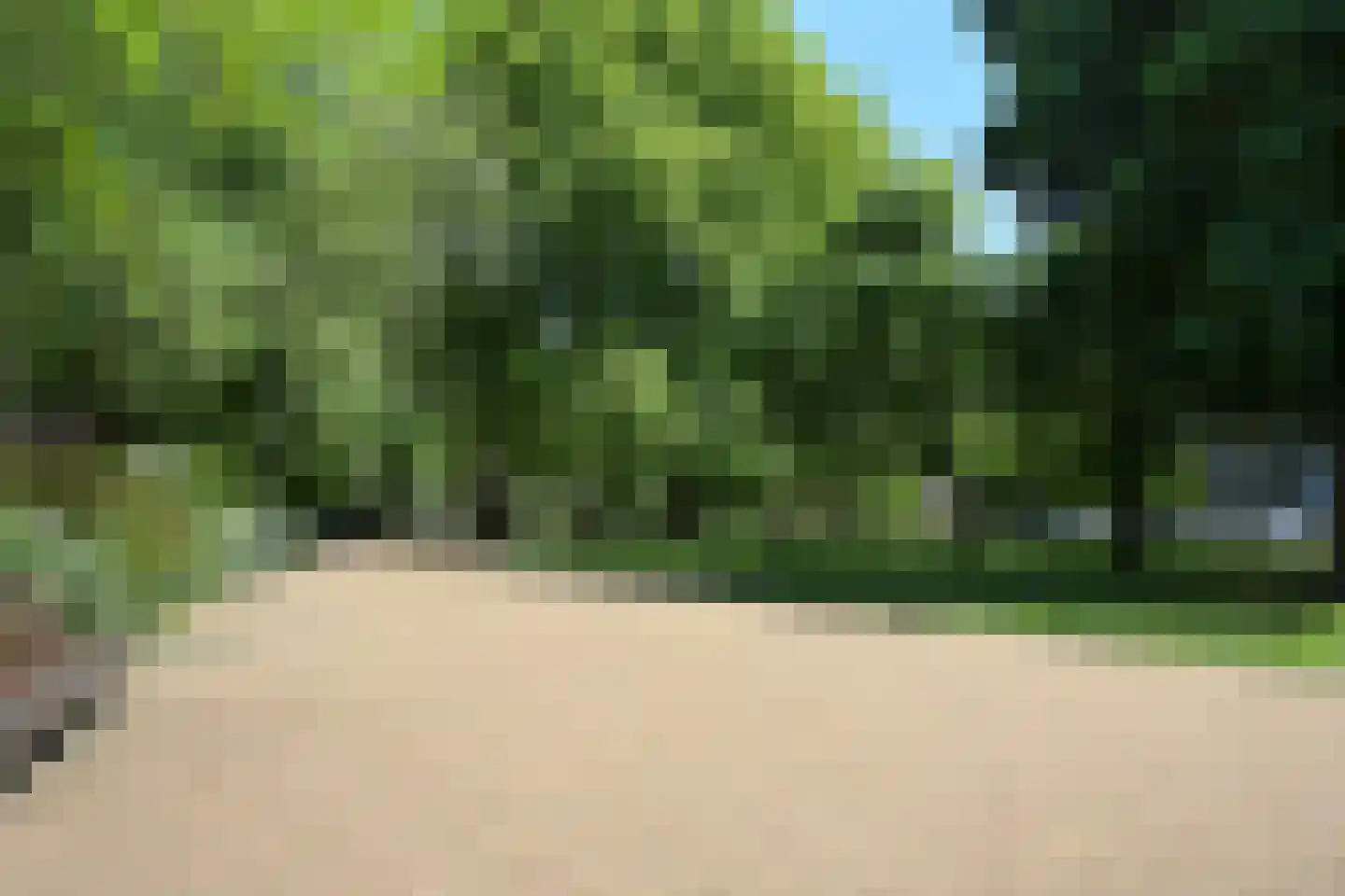 Bocht van Guinea 21 Den Haag thumbnail 54