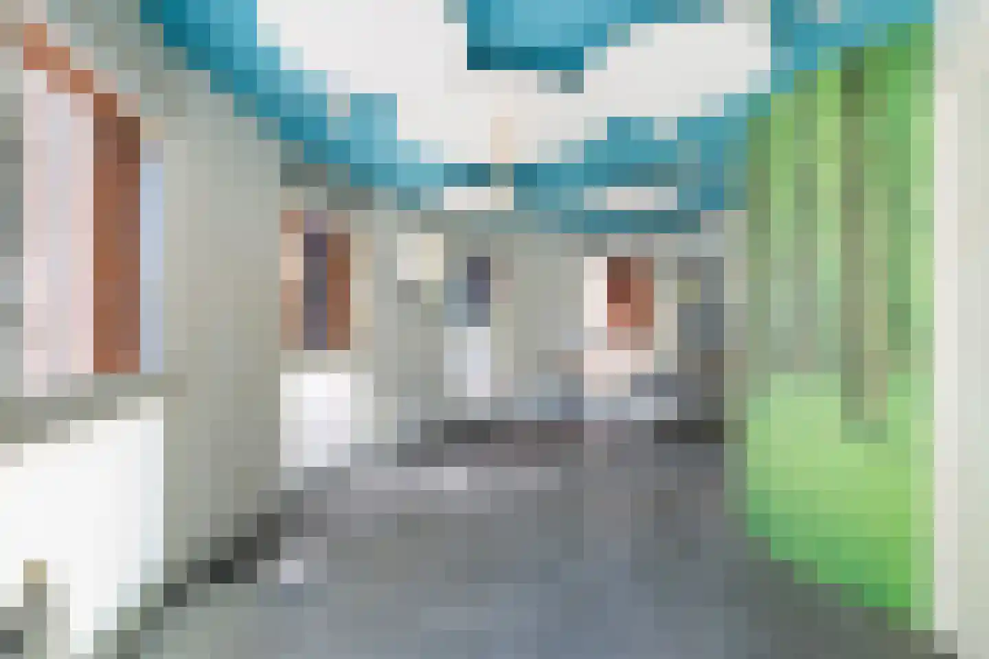 Bocht van Guinea 25 Den Haag thumbnail 10
