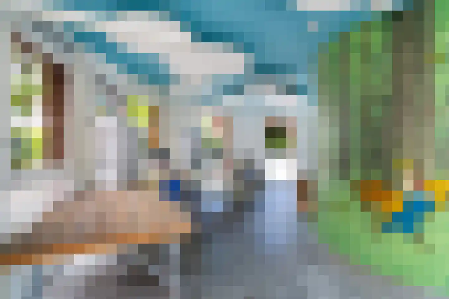Bocht van Guinea 25 Den Haag thumbnail 11