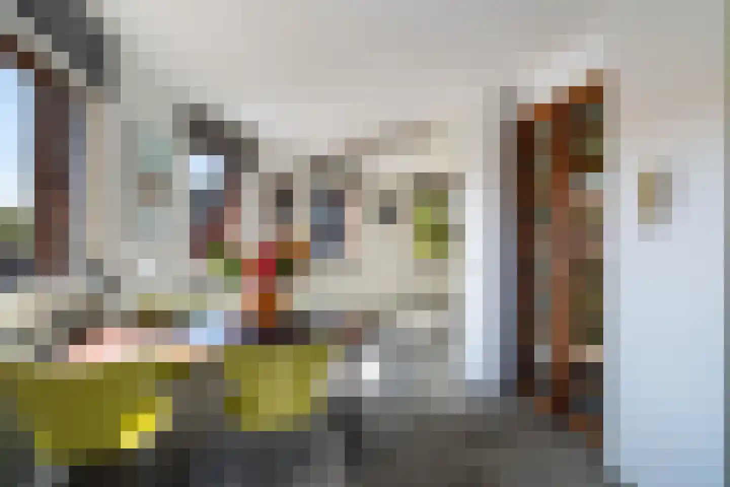 Bocht van Guinea 25 Den Haag thumbnail 26