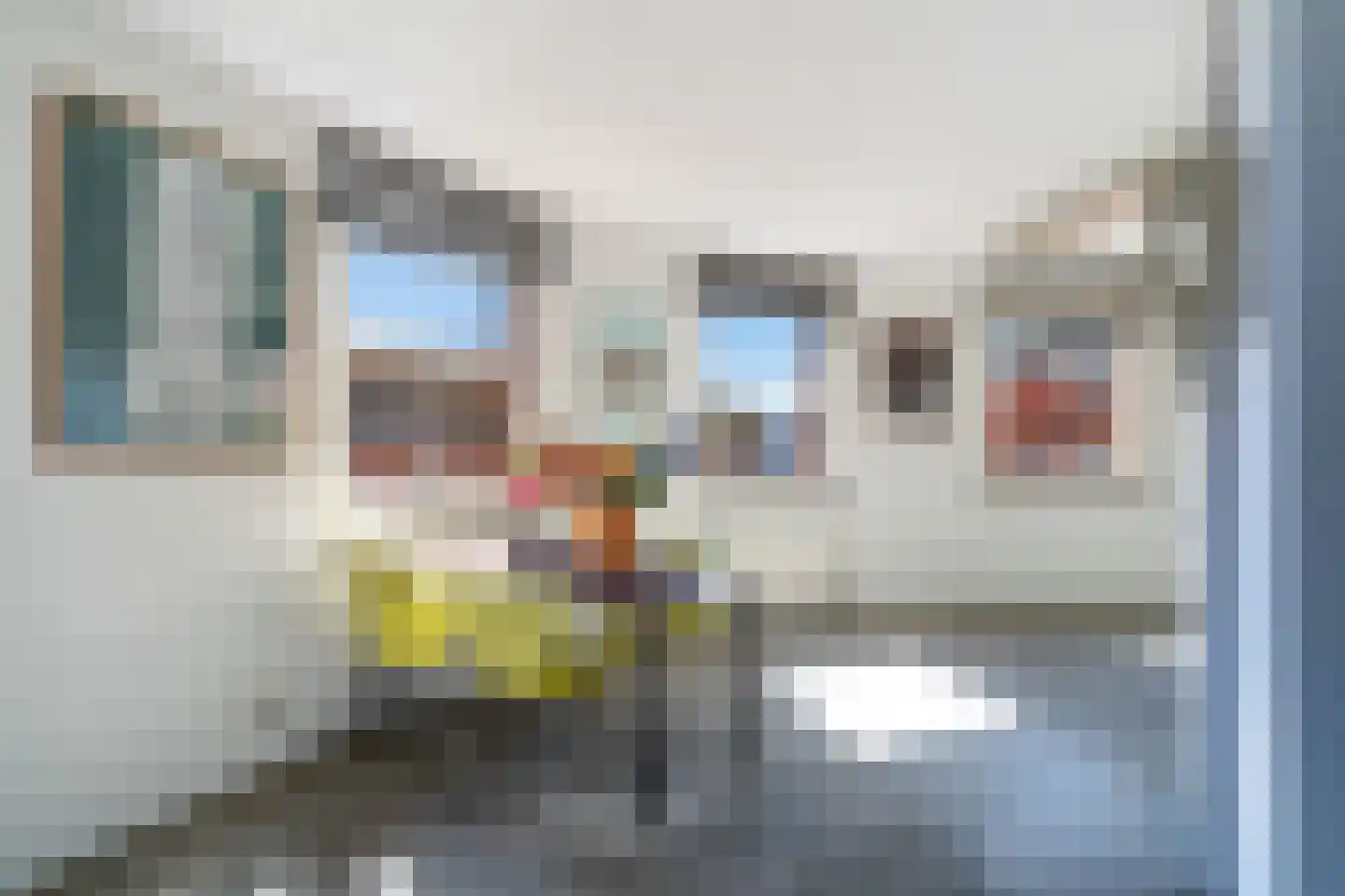 Bocht van Guinea 25 Den Haag thumbnail 27