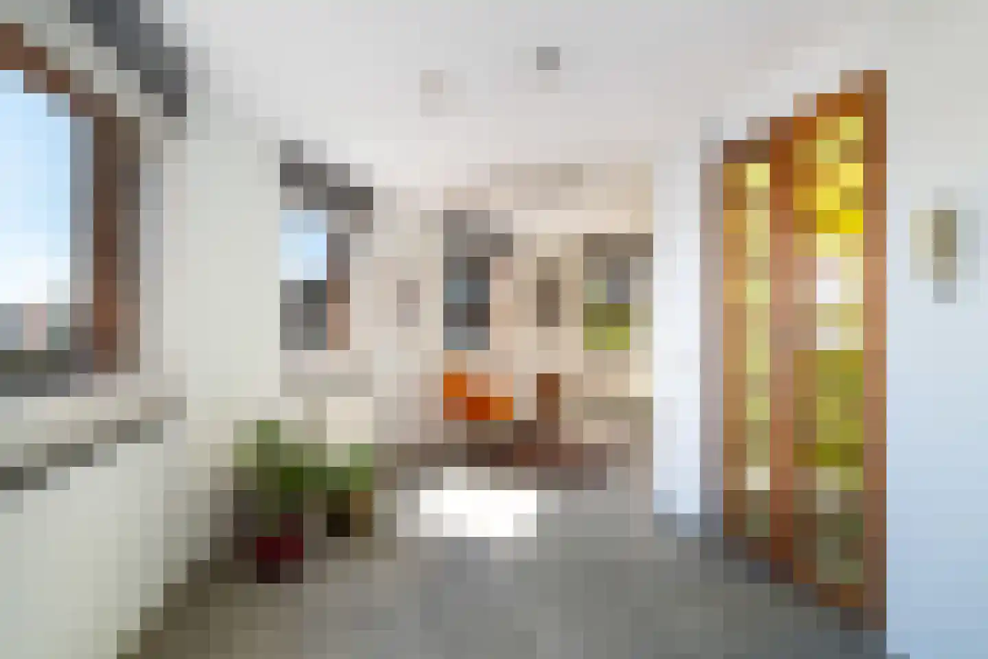 Bocht van Guinea 25 Den Haag thumbnail 32