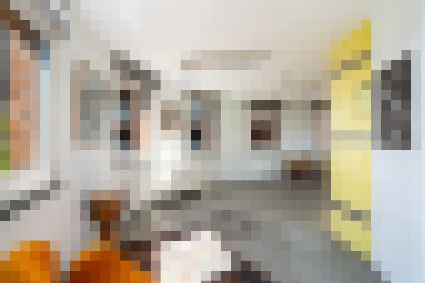 Bocht van Guinea 25 Den Haag thumbnail 33