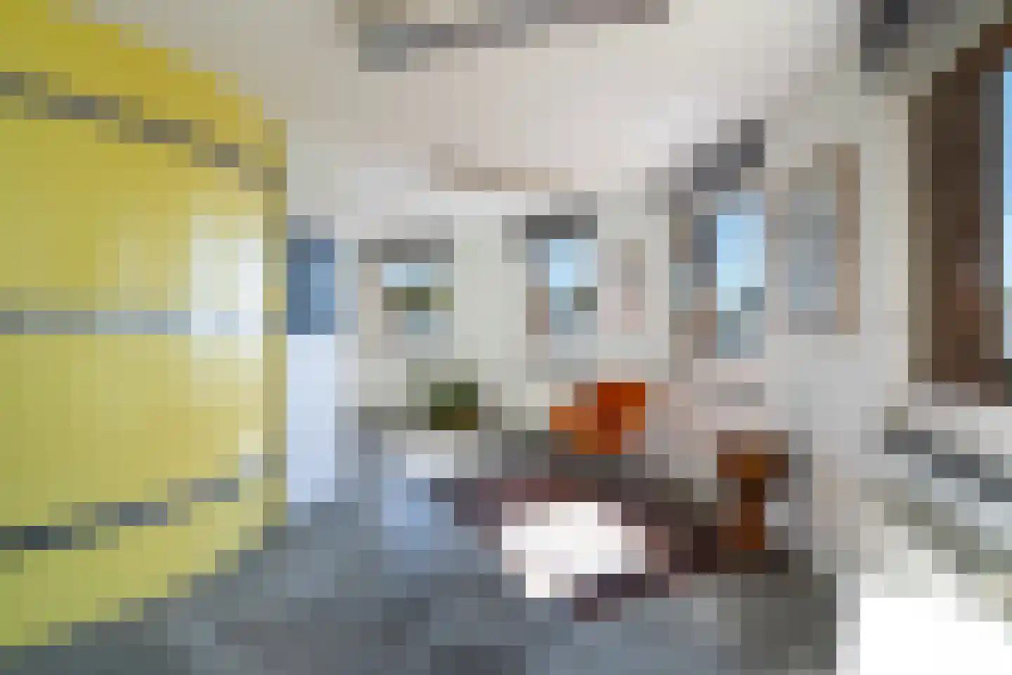 Bocht van Guinea 25 Den Haag thumbnail 36