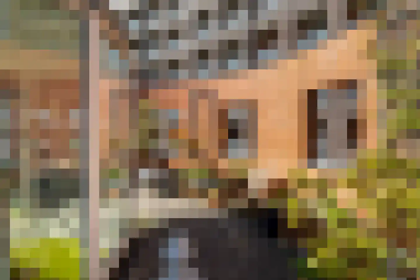 Bocht van Guinea 25 Den Haag thumbnail 43