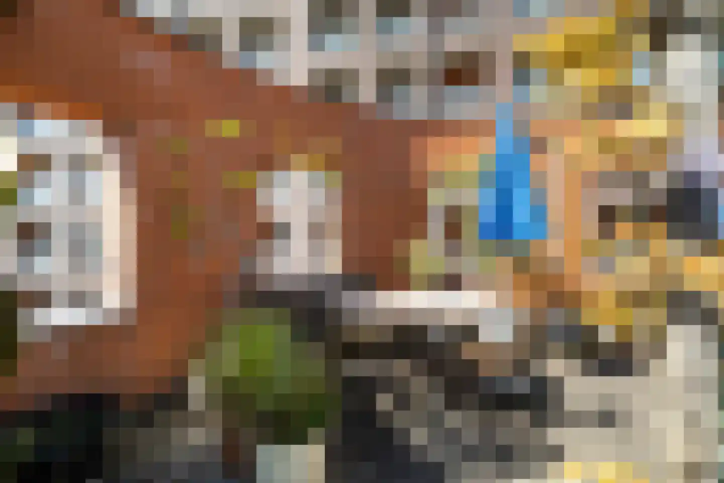 Bocht van Guinea 25 Den Haag thumbnail 44