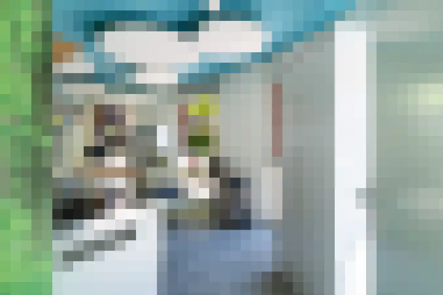 Bocht van Guinea 25 Den Haag thumbnail 6