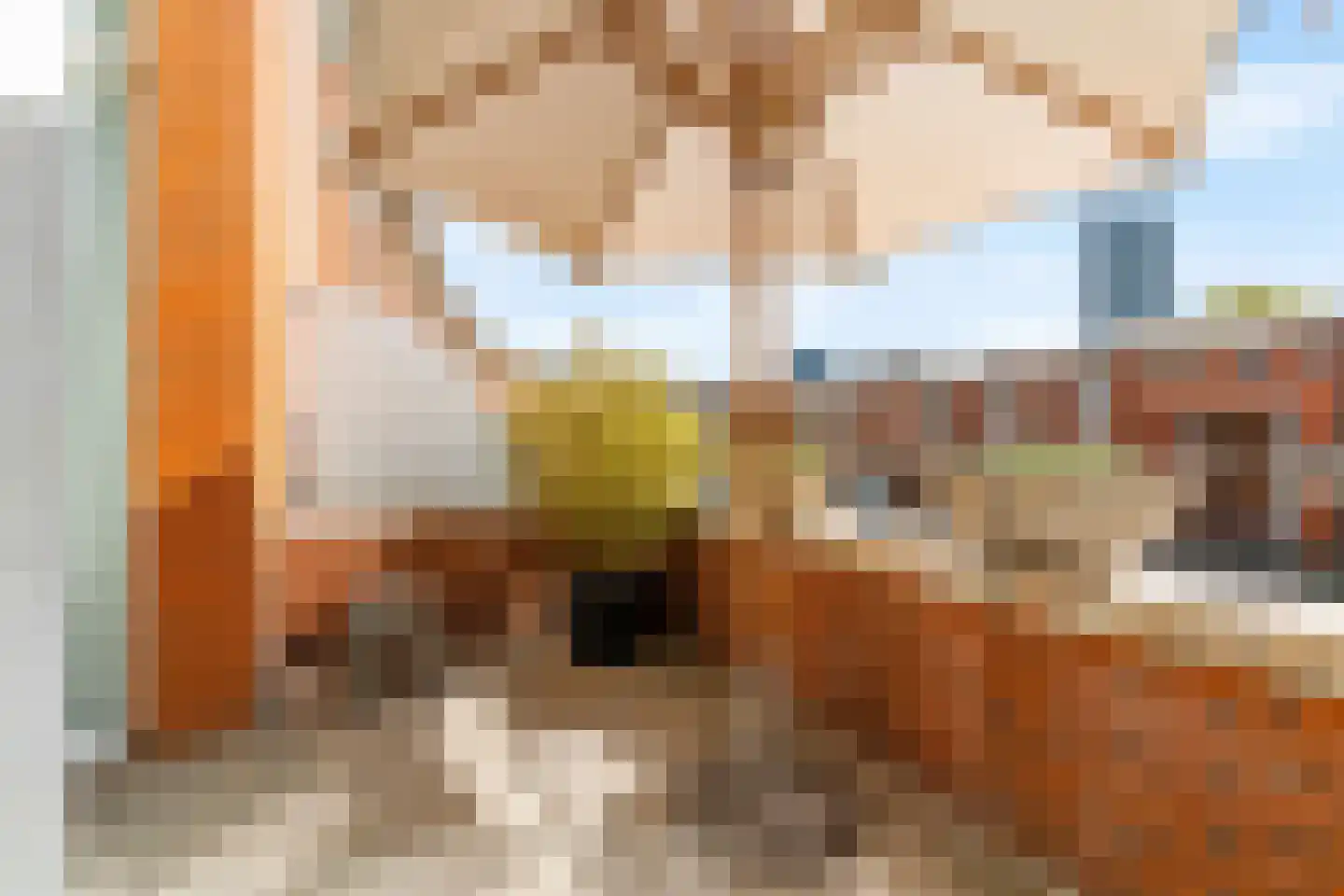Bocht van Guinea 34 Den Haag thumbnail 13