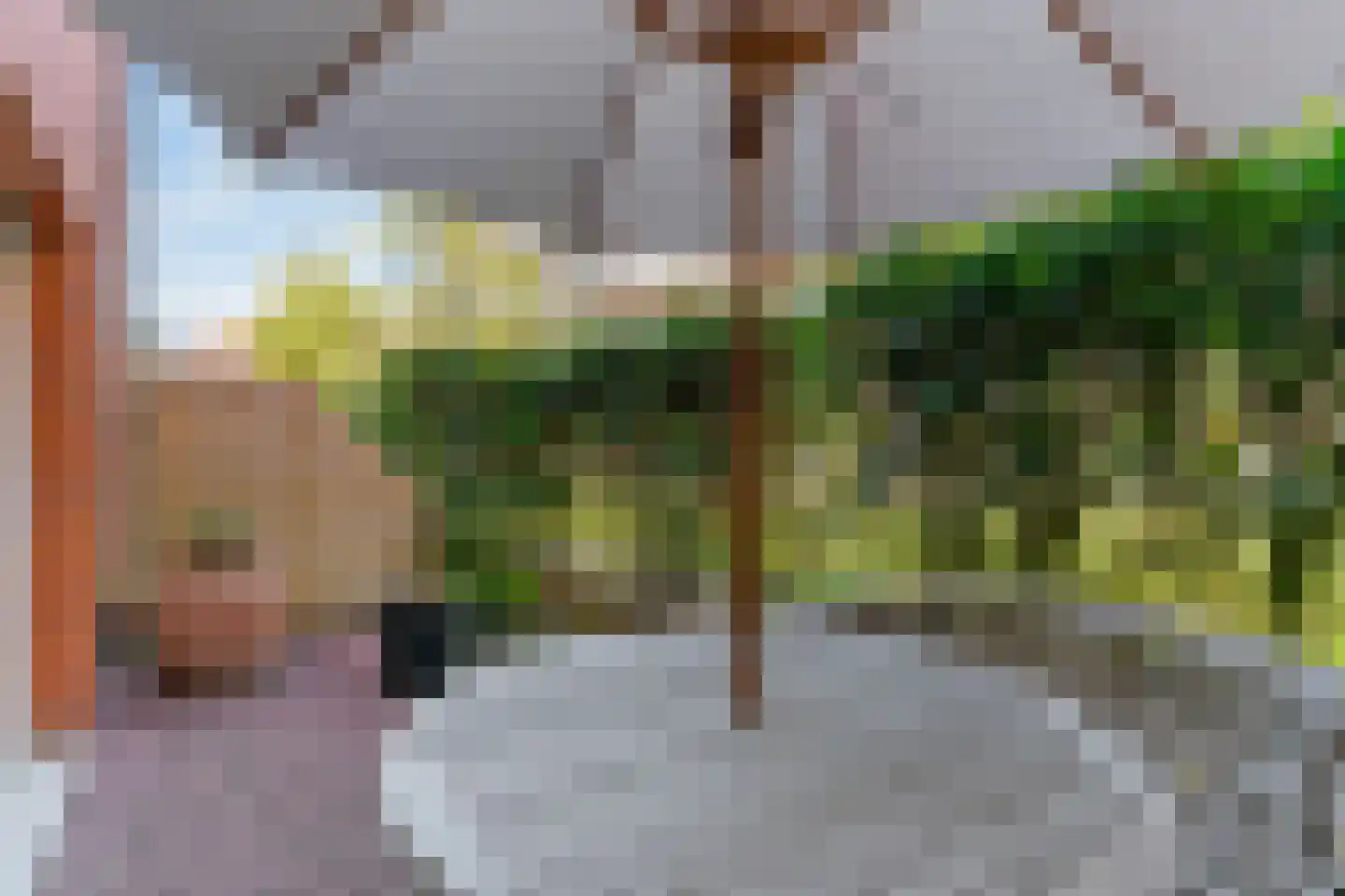 Bocht van Guinea 34 Den Haag thumbnail 30