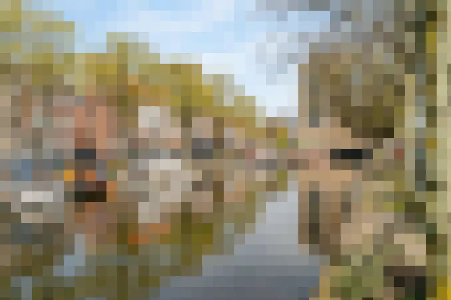 Bocht van Guinea 34 Den Haag thumbnail 41