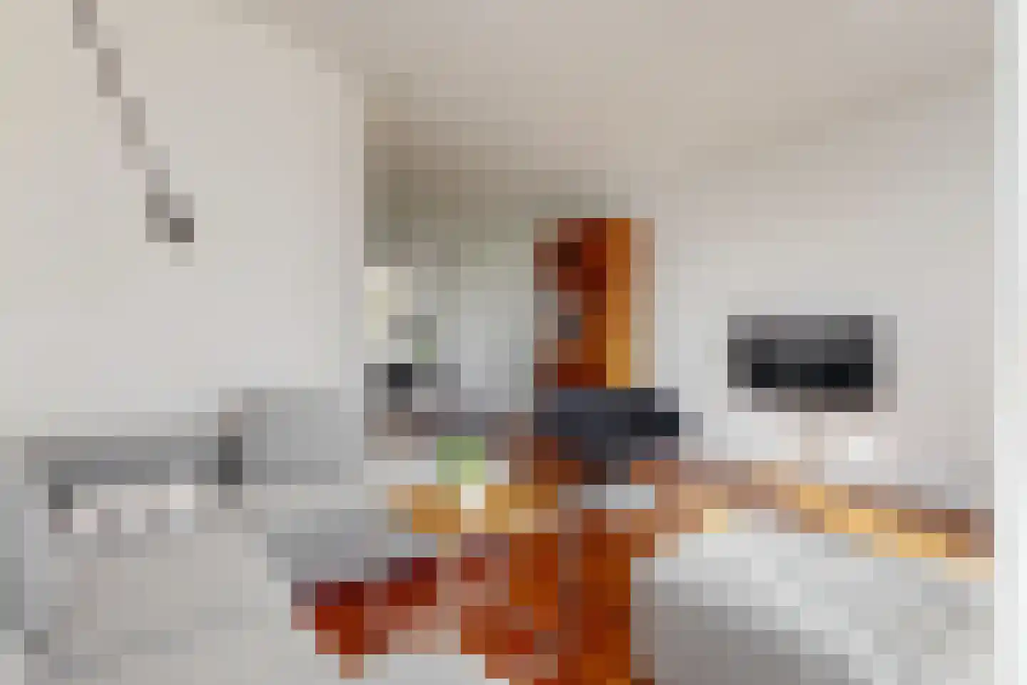 Bocht van Guinea 34 Den Haag thumbnail 5