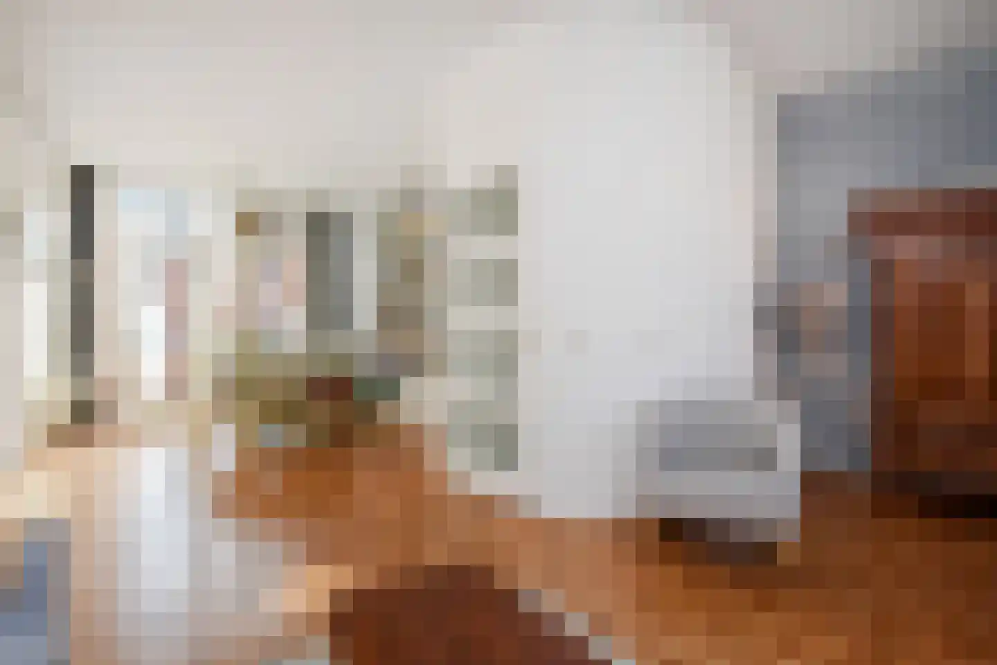 Bocht van Guinea 38 Den Haag thumbnail 14