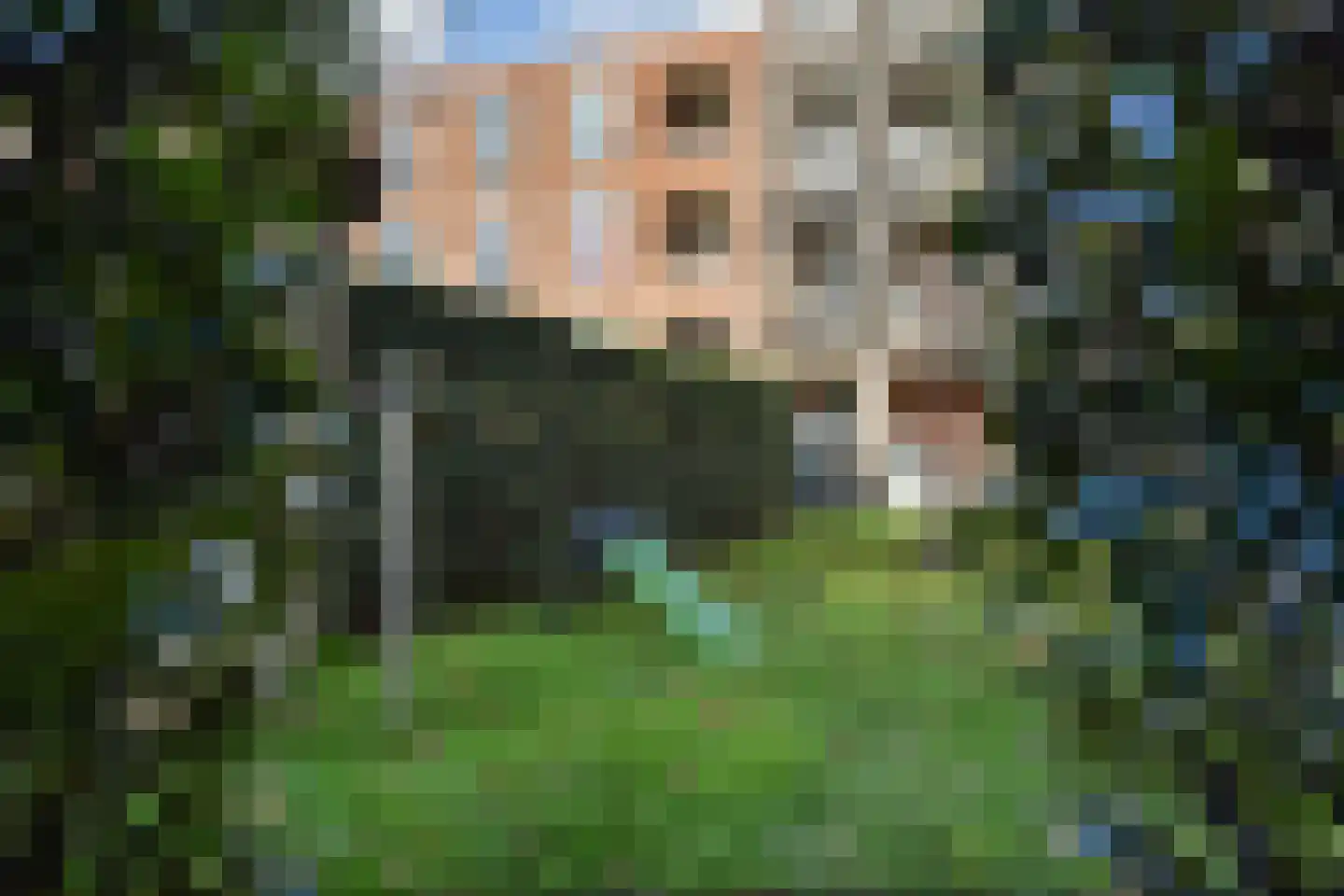 Bocht van Guinea 38 Den Haag thumbnail 23