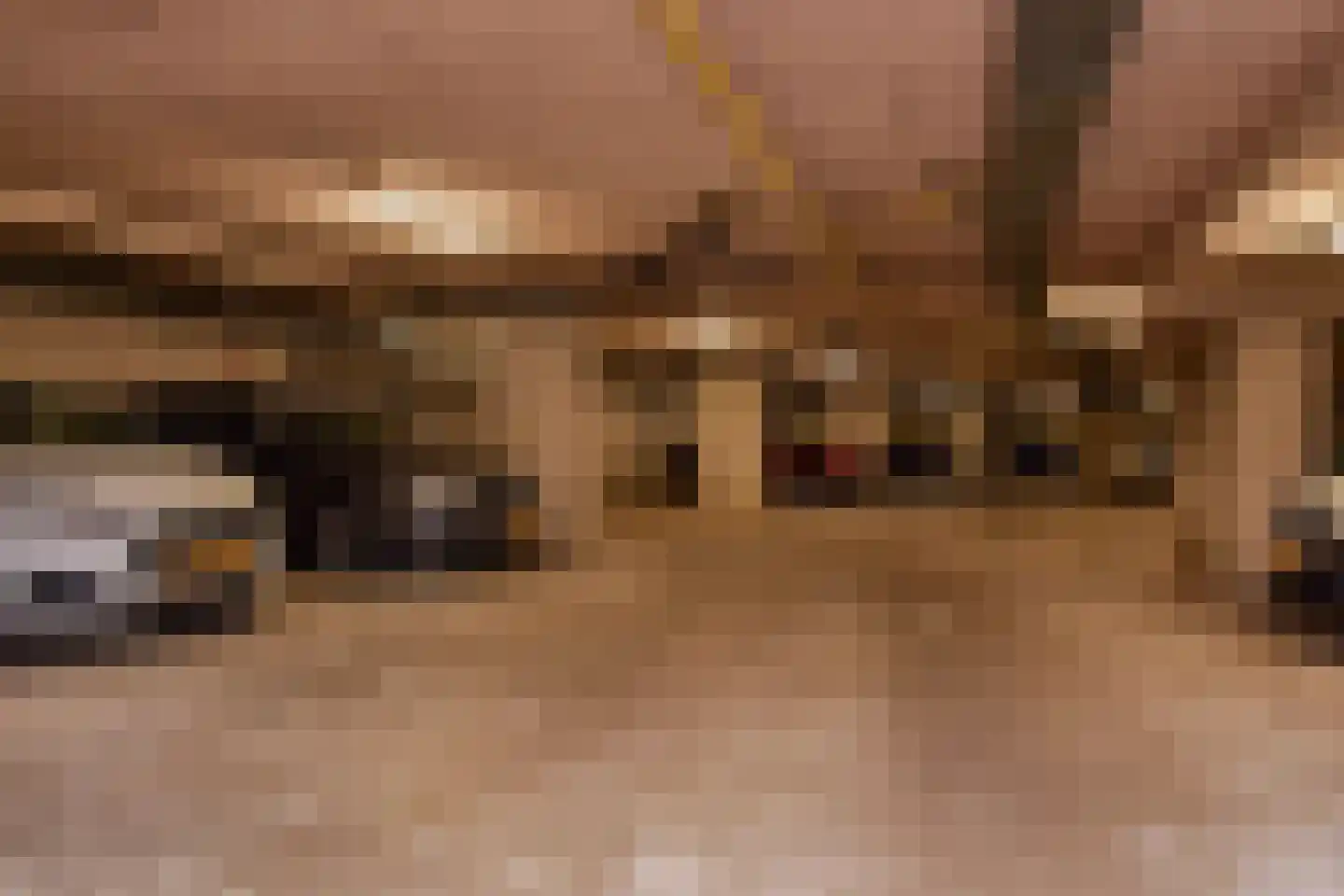 Bocht van Guinea 38 Den Haag thumbnail 28