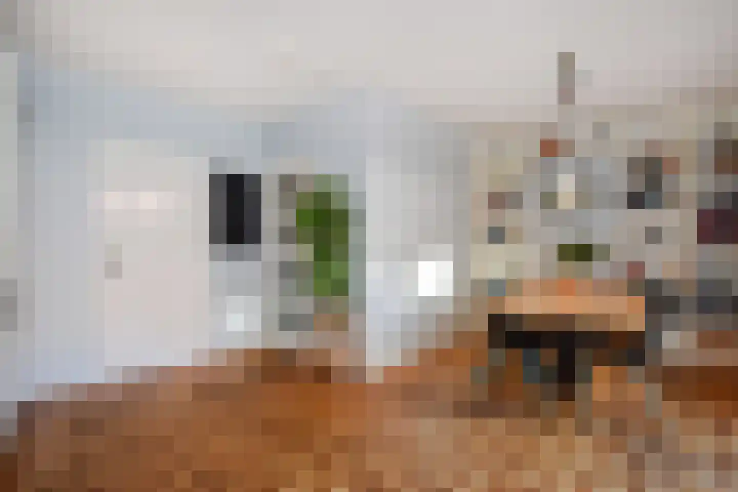 Bocht van Guinea 38 Den Haag thumbnail 9