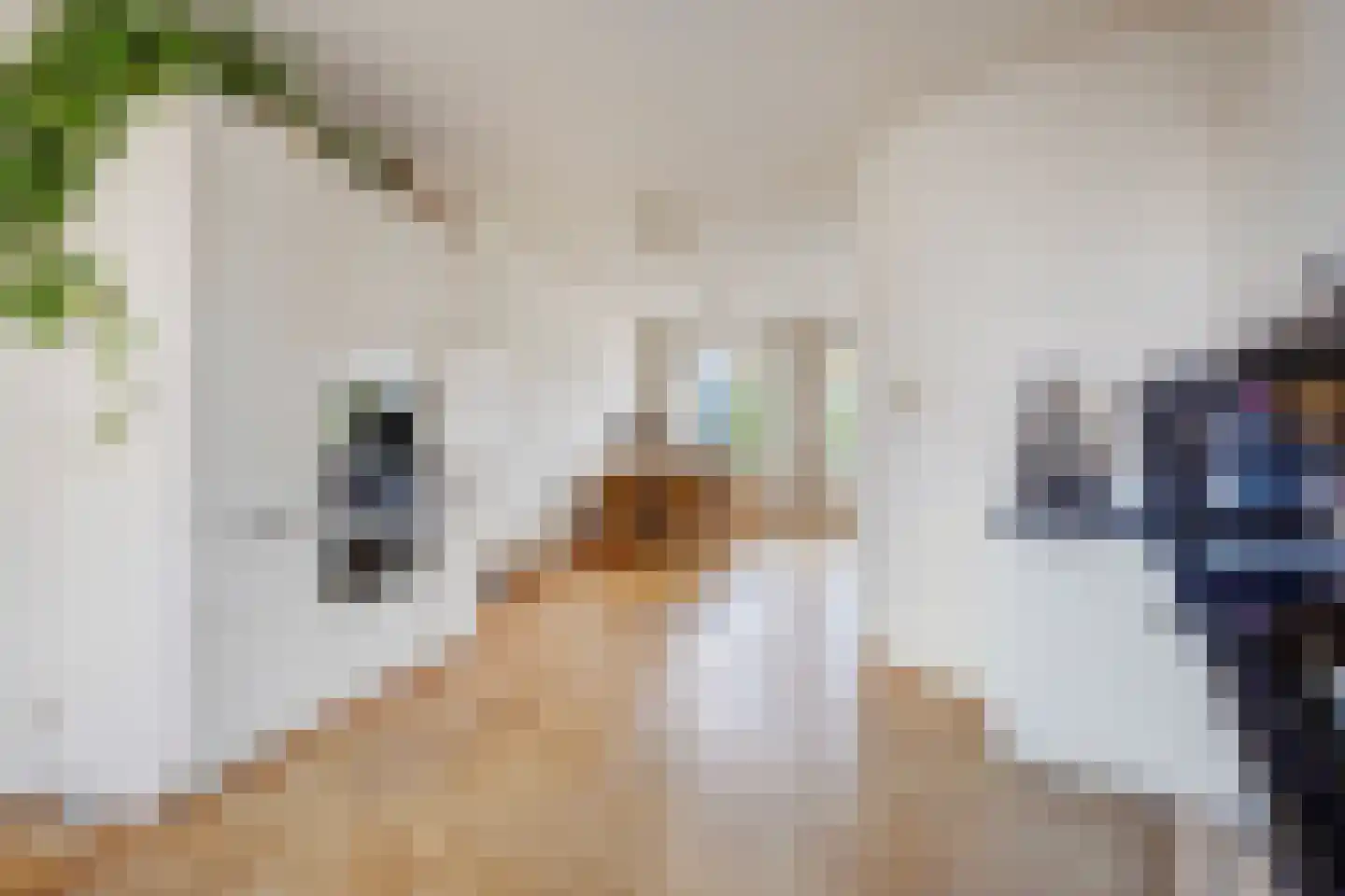 Bocht van Guinea 41 Den Haag thumbnail 16