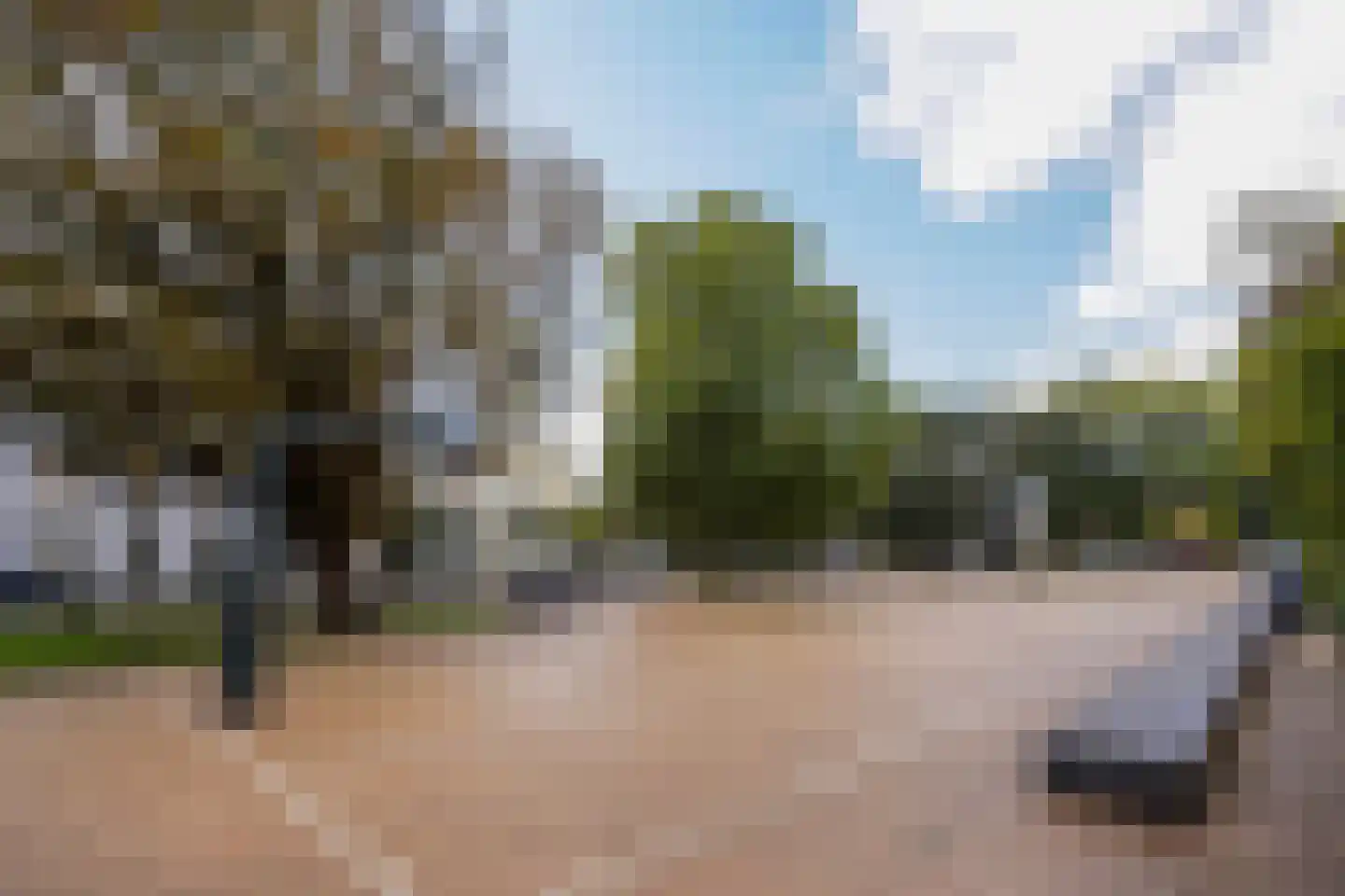 Bocht van Guinea 41 Den Haag thumbnail 25