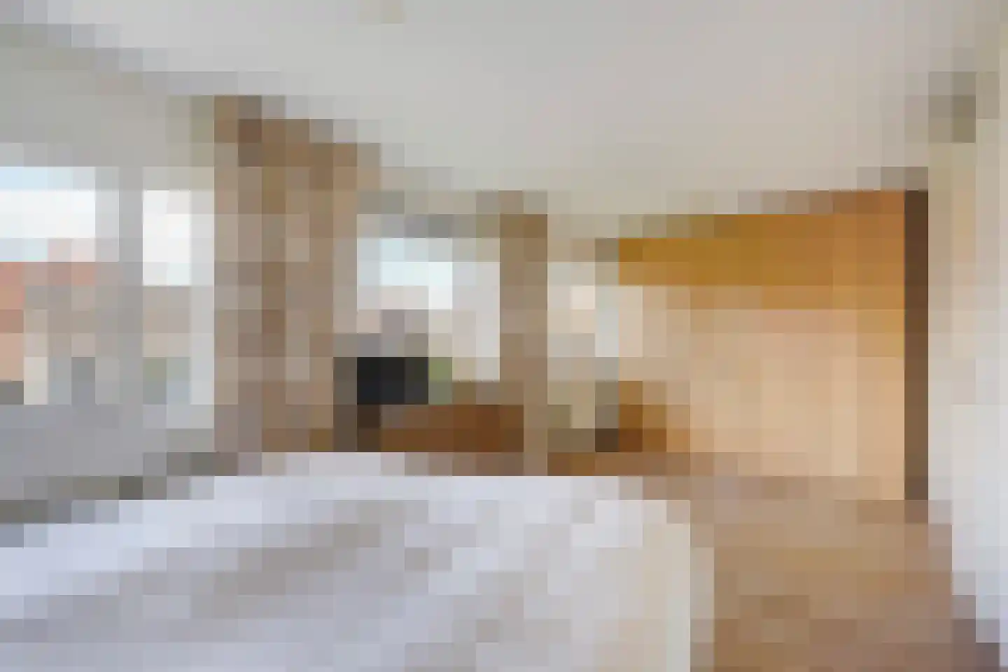 Bocht van Guinea 41 Den Haag thumbnail 4