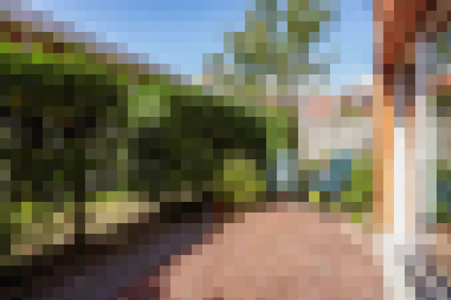Bocht van Guinea 41 Den Haag thumbnail 5