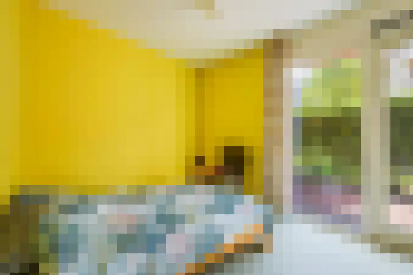 Bocht van Guinea 41 Den Haag thumbnail 9