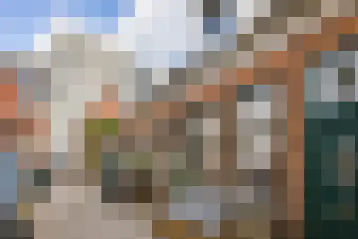 Bocht van Guinea 6 Groningen thumbnail 12
