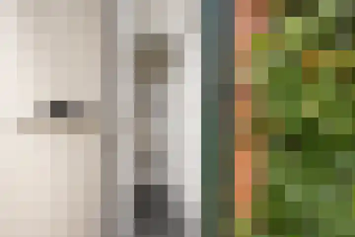 Bocht van Guinea 6 Groningen thumbnail 15