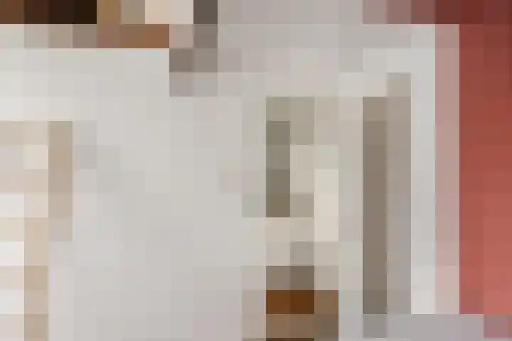 Bocht van Guinea 6 Groningen thumbnail 24