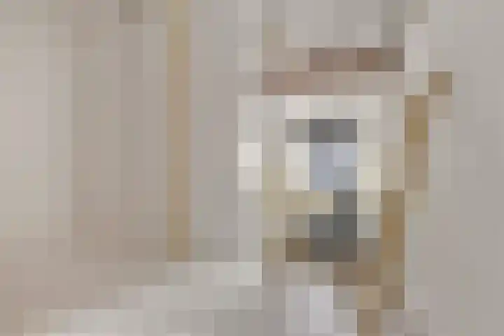Bocht van Guinea 6 Groningen thumbnail 25