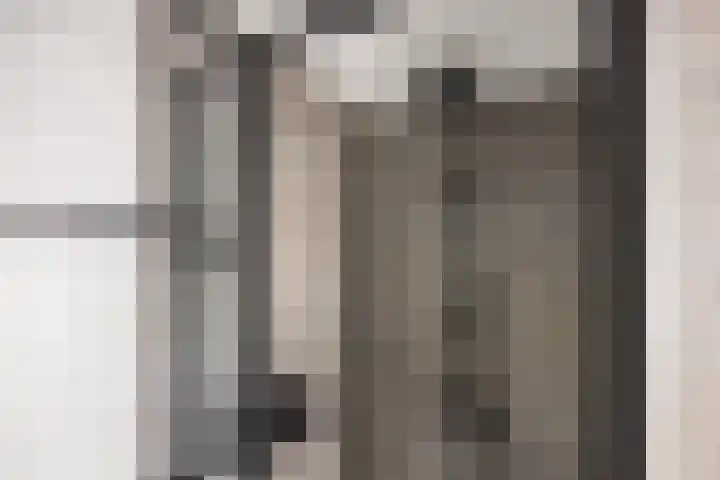 Bocht van Guinea 6 Groningen thumbnail 30
