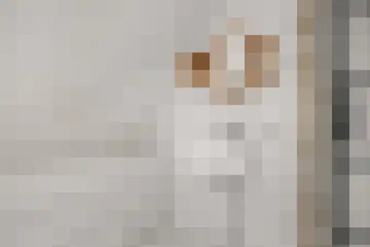 Bocht van Guinea 6 Groningen thumbnail 33