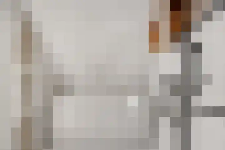Bocht van Guinea 6 Groningen thumbnail 35