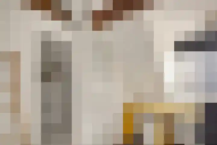 Bocht van Guinea 6 Groningen thumbnail 36