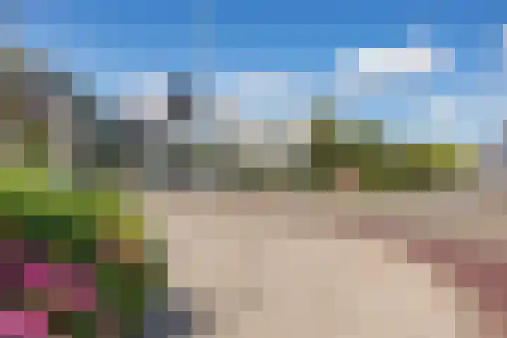 Bocht van Guinea 6 Groningen thumbnail 43