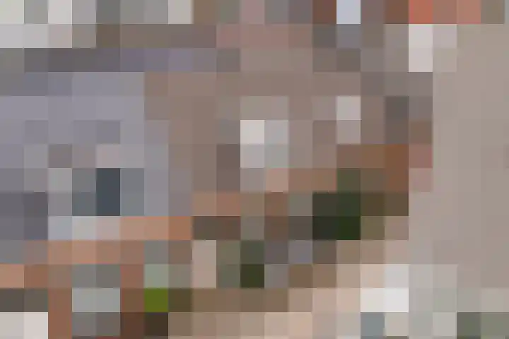Bocht van Guinea 6 Groningen thumbnail 44