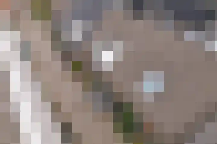 Bocht van Guinea 6 Groningen thumbnail 46